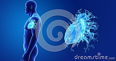 Human Heart zoom with Body Lateral view Stock Photo